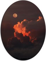 Dibond Ovaal - Maan bij Wolken - 42x56 cm Foto op Ovaal (Met Ophangsysteem)