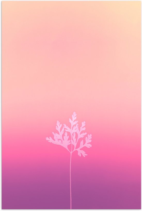 Poster (Mat) - Wit Silhouet van Blad aan Tak tegen Achtergrond in Roze Tinten - 50x75 cm Foto op Posterpapier met een Matte look