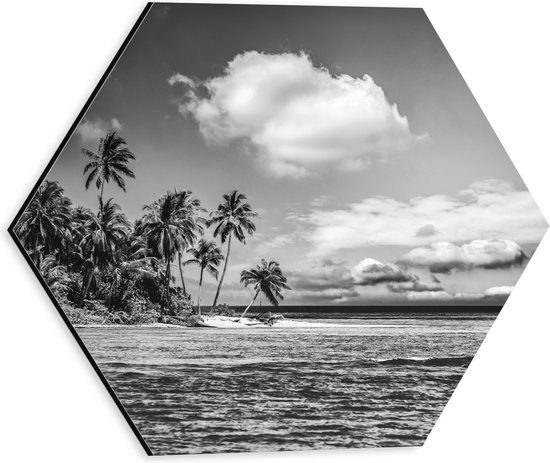 Dibond Hexagon - Rij Palmbomen langs Rustige Zee (Zwart- wit) - 30x26.1 cm Foto op Hexagon (Met Ophangsysteem)