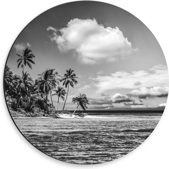 Dibond Muurcirkel - Rij Palmbomen langs Rustige Zee (Zwart- wit) - 30x30 cm Foto op Aluminium Muurcirkel (met ophangsysteem)