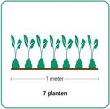 Groen icoon met 7 planten op een rij van 1 meter.