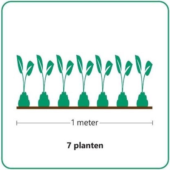 Groen icoon met 7 planten op een rij van 1 meter.