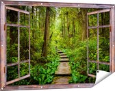 Gards Tuinposter Doorkijk Voetpad in het Bos met Groene Planten - 120x80 cm - Tuindoek - Tuindecoratie - Wanddecoratie buiten - Tuinschilderij