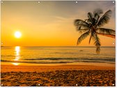 Décoration murale extérieure Palmier - Plage - Coucher de soleil - Mer - 160x120 cm - Toile jardin - Poster extérieur