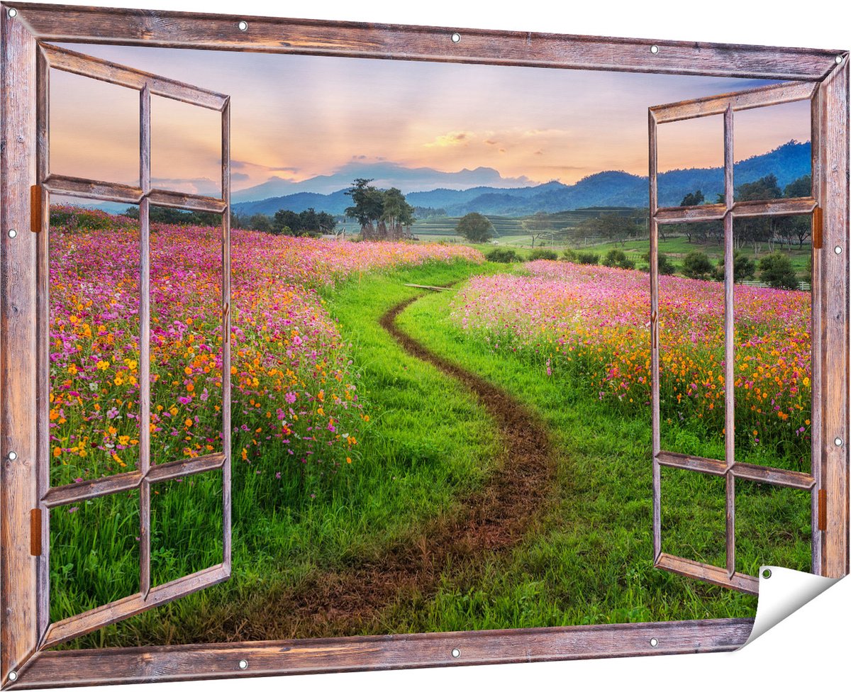Gards Tuinposter Doorkijk Kosmos Bloemenveld met een Pad - Bloemen - 180x120 cm - Tuindoek - Tuindecoratie - Wanddecoratie buiten - Tuinschilderij Multikleur