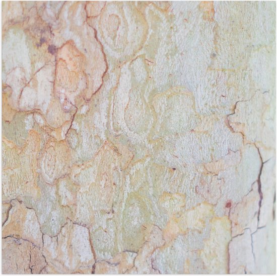 Poster Glanzend – Beige Muur met Textuur van Lijnen - 50x50 cm Foto op Posterpapier met Glanzende Afwerking