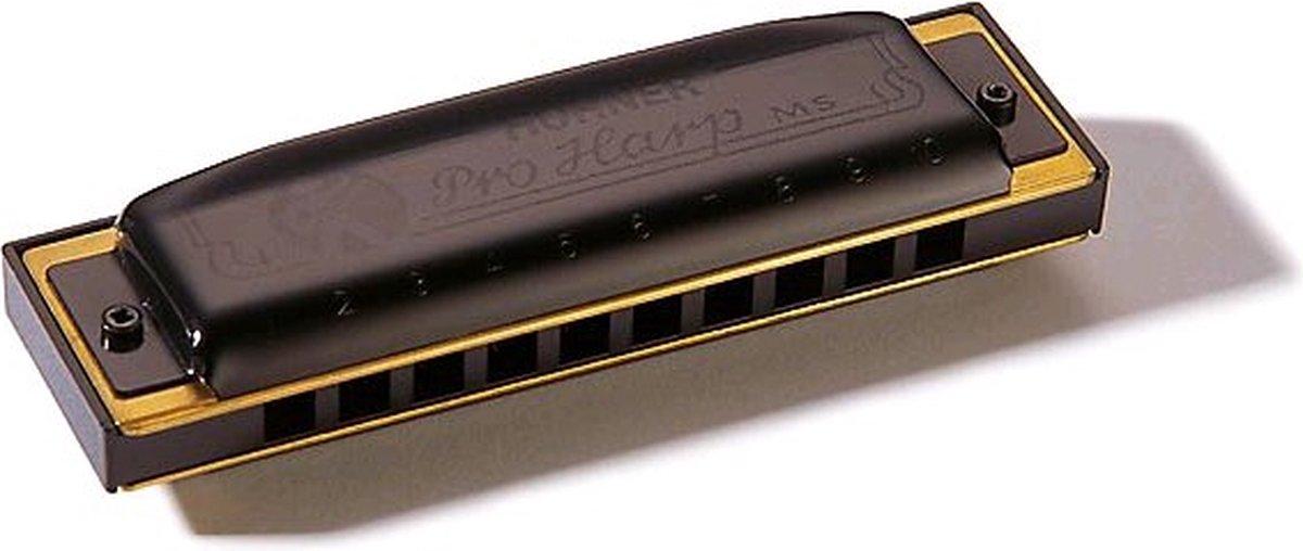 Hohner Pro Harp MS C mondharmonica
