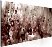 Schilderij - Paardebloem na de Regen , bruin