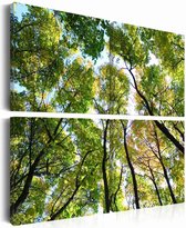 Schilderij - Boomtoppen, Groen, 4luik , premium print op canvas