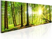 Schilderij - Zon door de Bomen - Panorama, groen, premium print op canvas, 1luik