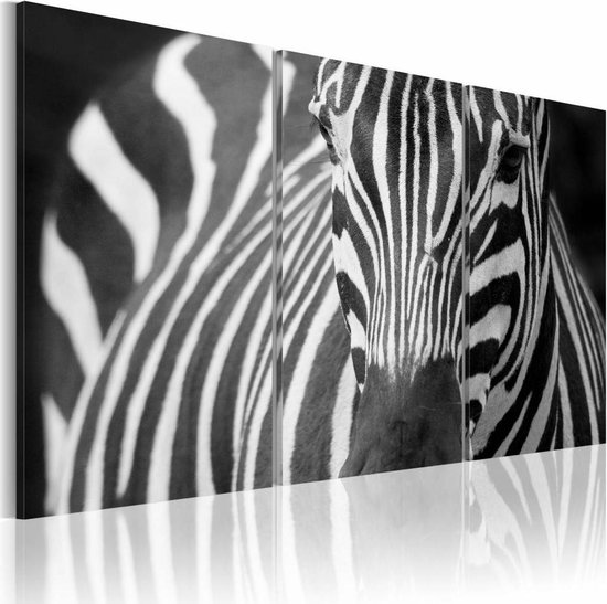Schilderij - Mevrouw Zebra, Zwart-Wit, wanddecoratie, premium print, 3luik  | bol.com