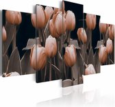 Schilderij - Tulpen in sepia , bloem , 5 luik