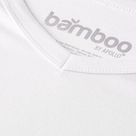 Apollo heren T-shirt Bamboe - 2-pack