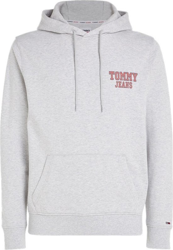 Tommy Hilfigr TJW REG Entry Graphic Hoodie Hommes - Grijs - Taille M
