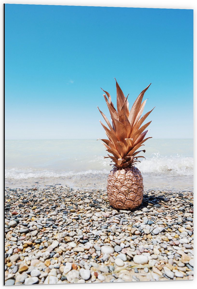 Dibond - Ananas op Kiezelstenen - 60x90 cm Foto op Aluminium (Wanddecoratie van metaal)