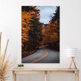 Canvas Schilderij Autumn Road