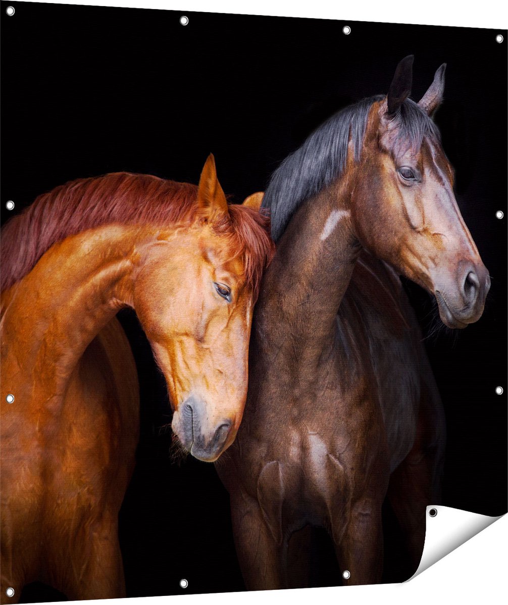 Gards Tuinposter Twee Bruine Paarden Koppel - Liefde - 120x120 cm - Tuindoek - Tuindecoratie - Wanddecoratie buiten - Tuinschilderij Multikleur