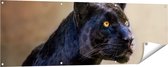 Gards Tuinposter Zwarte Panter met Oranje Ogen - 150x50 cm - Tuindoek - Tuindecoratie - Wanddecoratie buiten - Tuinschilderij