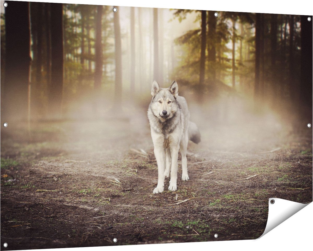 Gards Tuinposter Grijze Wolf in het Bos - 150x100 cm - Tuindoek - Tuindecoratie - Wanddecoratie buiten - Tuinschilderij Multikleur