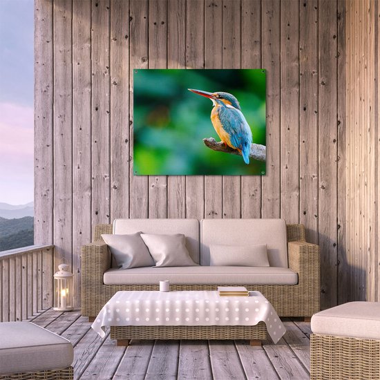 Affiche de jardin Gards Martin-pêcheur Blauw Oranje sur une branche - 100x80 cm - Toile de jardin - Décoration de jardin - Décoration murale extérieur - Tableau de jardin