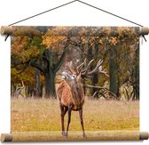 Textielposter - Burlend Hert in Herfstkleurig Bos - 40x30 cm Foto op Textiel