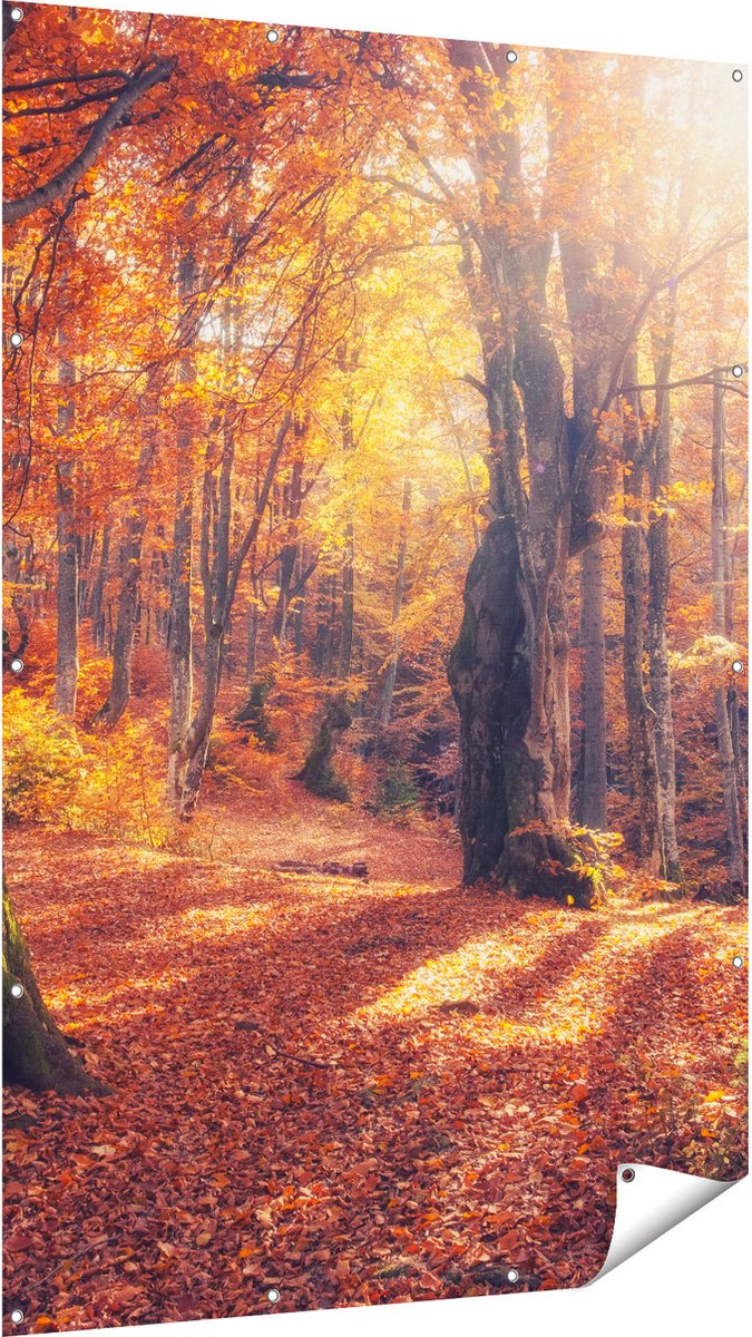 Gards Tuinposter Oranje Herfstbos met Zonneschijn - 120x180 cm - Tuindoek - Tuindecoratie - Wanddecoratie buiten - Tuinschilderij Multikleur