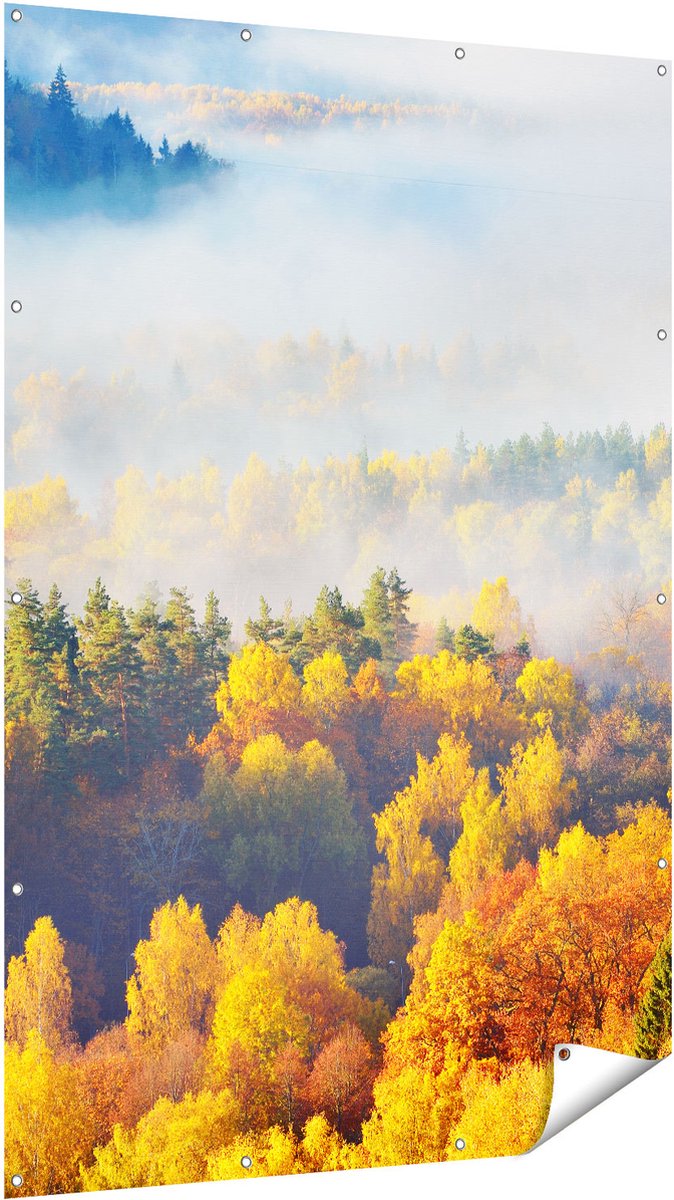 Gards Tuinposter Gekleurde Herfstbos met Mist - 120x180 cm - Tuindoek - Tuindecoratie - Wanddecoratie buiten - Tuinschilderij Multikleur