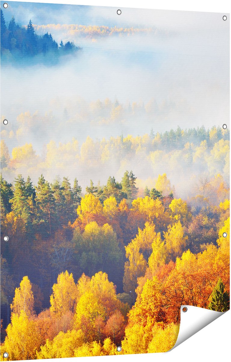 Gards Tuinposter Gekleurde Herfstbos met Mist - 90x120 cm - Tuindoek - Tuindecoratie - Wanddecoratie buiten - Tuinschilderij Multikleur
