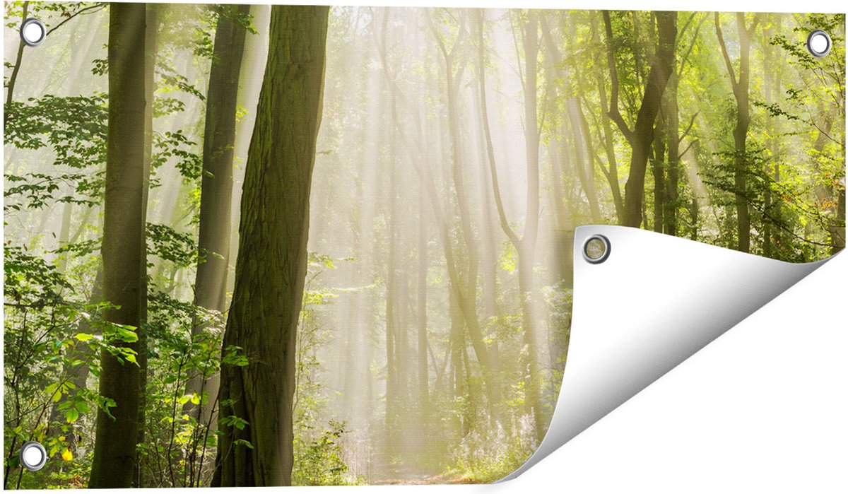 Gards Tuinposter Bos met Bomen en Zonneschijn - 60x30 cm - Tuindoek - Tuindecoratie - Wanddecoratie buiten - Tuinschilderij Multikleur
