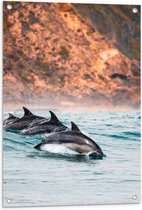 Tuinposter – Drie Synchroon Zwemmende Dolfijnen in de Zee - 60x90 cm Foto op Tuinposter (wanddecoratie voor buiten en binnen)