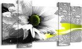 GroepArt - Schilderij - Bloem - Grijs, Wit, Geel - 120x65 5Luik - Foto Op Canvas - GroepArt 6000+ Schilderijen 0p Canvas Art Collectie - Wanddecoratie