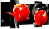 GroepArt - Schilderij - Tulp - Rood, Grijs, Zwart - 120x65 5Luik - Foto Op Canvas - GroepArt 6000+ Schilderijen 0p Canvas Art Collectie - Wanddecoratie