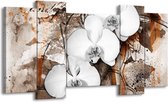 GroepArt - Schilderij - Orchidee - Wit, Bruin - 120x65 5Luik - Foto Op Canvas - GroepArt 6000+ Schilderijen 0p Canvas Art Collectie - Wanddecoratie