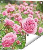 Gards Tuinposter Roze Rozen Bloemenveld - 50x50 cm - Tuindoek - Tuindecoratie - Wanddecoratie buiten - Tuinschilderij