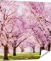 Gards Tuinposter Roze Bloesembomen Park - Bloemen - 100x100 cm - Tuindoek - Tuindecoratie - Wanddecoratie buiten - Tuinschilderij
