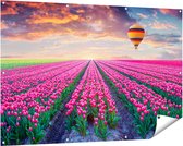 Gards Poster de jardin Champ de fleurs avec tulipes roses - Montgolfière - 150x100 cm - Toile de jardin - Décoration de jardin - Décoration murale extérieure - Tableau de jardin
