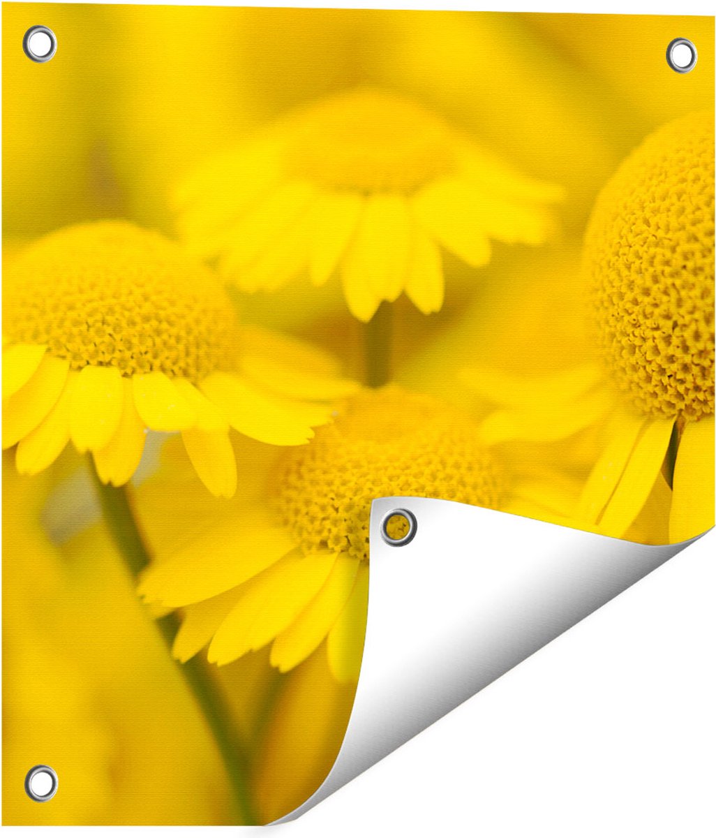 Gards Tuinposter Gele Kamille Bloemen - 40x40 cm - Tuindoek - Tuindecoratie - Wanddecoratie buiten - Tuinschilderij Multikleur