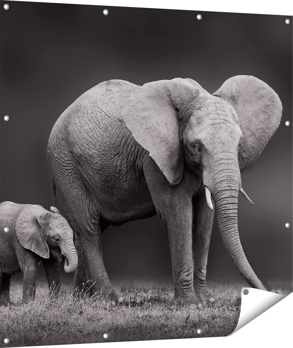 Gards Tuinposter Olifant Moeder en Zoon - Zwart Wit - 110x110 cm - Tuindoek - Tuindecoratie - Wanddecoratie buiten - Tuinschilderij Multikleur