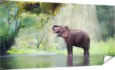 Gards Tuinposter Vrolijke Olifant in het Water - 200x100 cm - Tuindoek - Tuindecoratie - Wanddecoratie buiten - Tuinschilderij