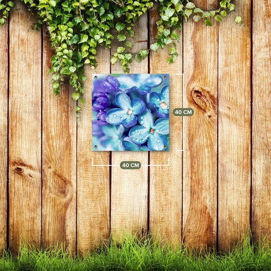 Affiche de jardin Gards Fleurs Lilas Bleus - Lilas - 40x40 cm - Toile de jardin - Décoration de jardin - Décoration murale extérieure - Tableau de jardin