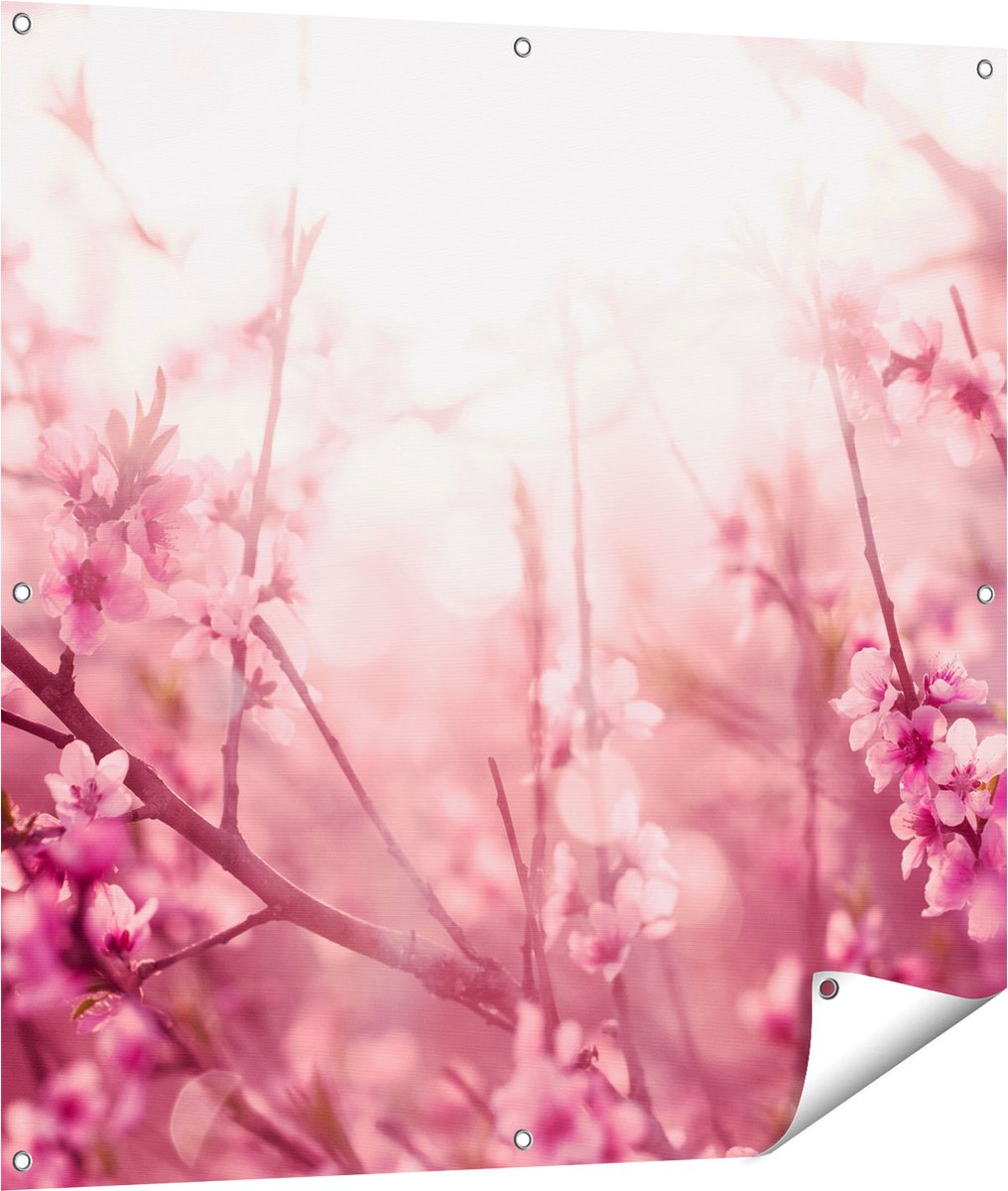 Gards Tuinposter Roze Bloesemboom met Zonneschijn - 100x100 cm - Tuindoek - Tuindecoratie - Wanddecoratie buiten - Tuinschilderij Multikleur