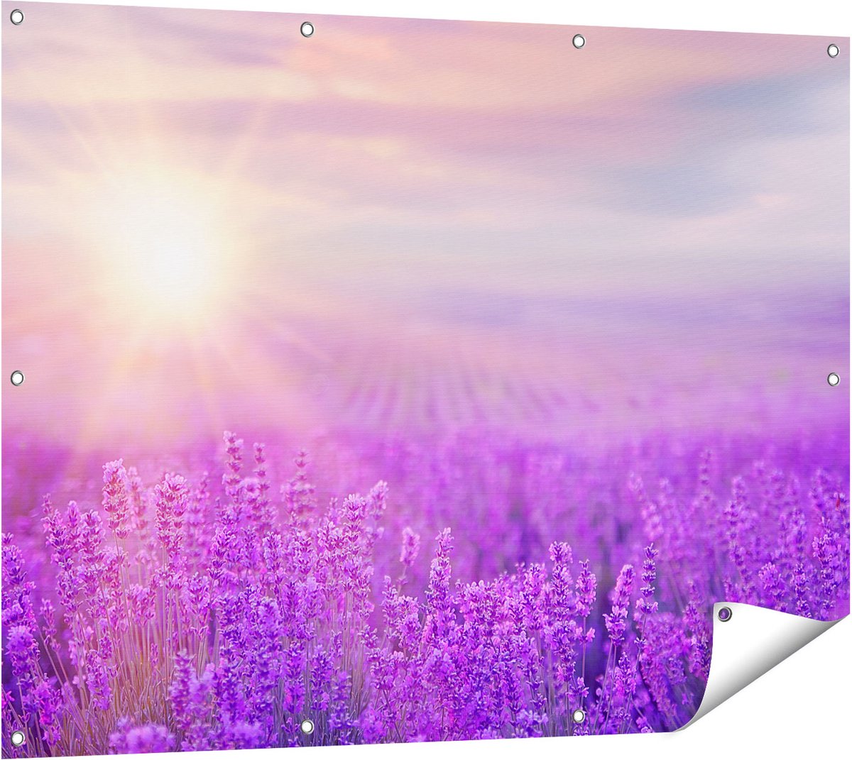 Gards Tuinposter Bloemenveld met Paarse Lavendel - 120x90 cm - Tuindoek - Tuindecoratie - Wanddecoratie buiten - Tuinschilderij Multikleur