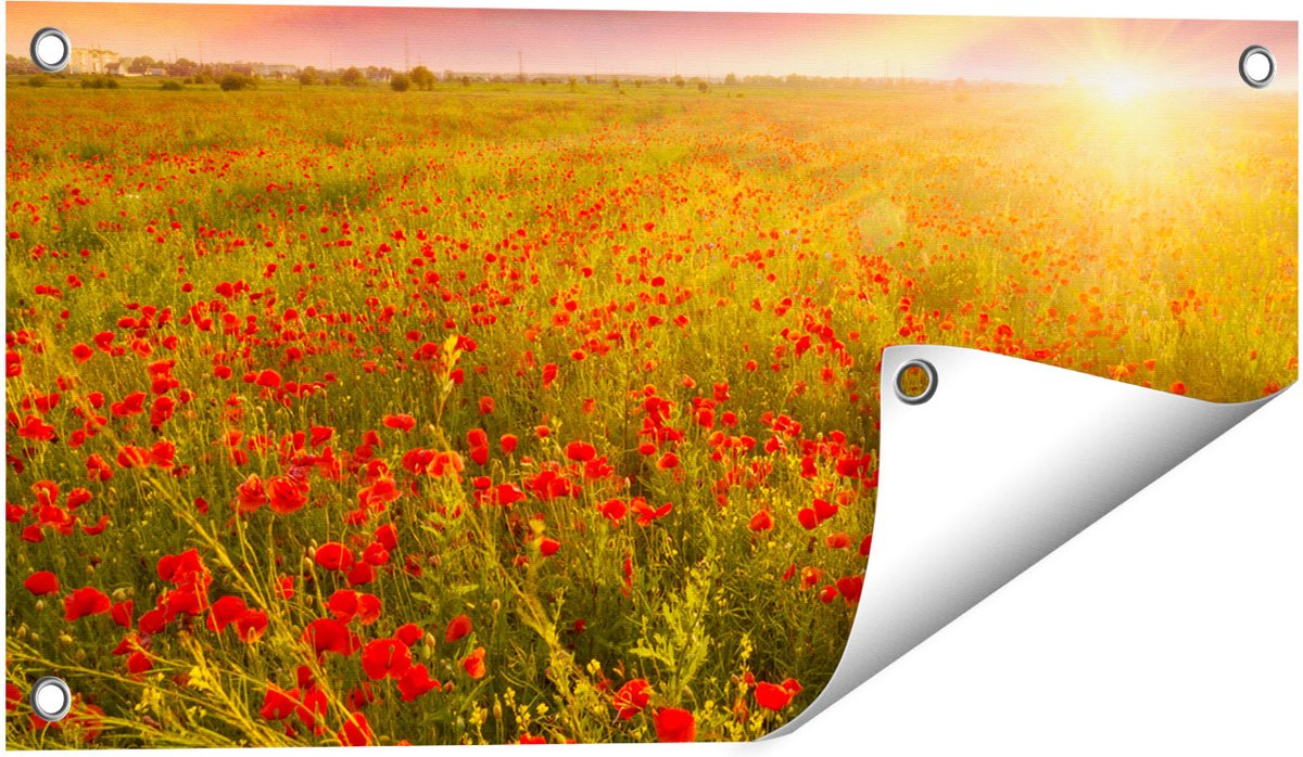 Gards Tuinposter Rode Klaproos Bloemenveld - Zonsondergang - 60x30 cm - Tuindoek - Tuindecoratie - Wanddecoratie buiten - Tuinschilderij Multikleur