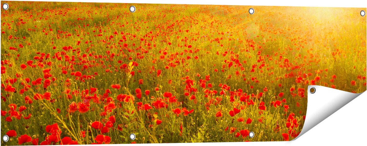 Gards Tuinposter Rode Klaproos Bloemenveld - Zonsondergang - 120x40 cm - Tuindoek - Tuindecoratie - Wanddecoratie buiten - Tuinschilderij Multikleur