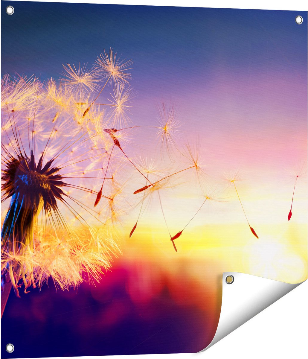 Gards Tuinposter Paardenbloem tijdens Zonsondergang - 70x70 cm - Tuindoek - Tuindecoratie - Wanddecoratie buiten - Tuinschilderij Multikleur