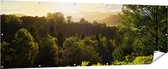 Gards Tuinposter Zonsondergang vanuit een Bos - 210x70 cm - Tuindoek - Tuindecoratie - Wanddecoratie buiten - Tuinschilderij