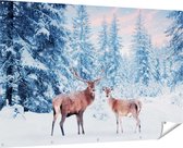 Gards Tuinposter Twee Herten in het Bos met Sneeuw - 180x120 cm - Tuindoek - Tuindecoratie - Wanddecoratie buiten - Tuinschilderij