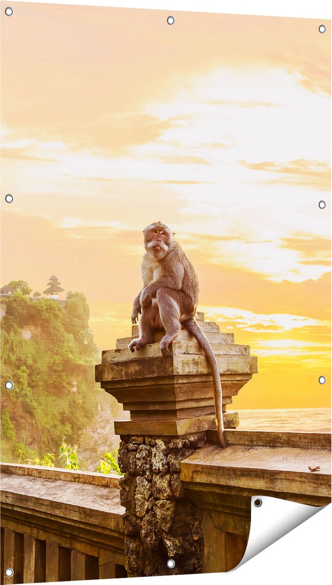 Gards Tuinposter Aap op de Uluwatu Tempel in Bali - 80x120 cm - Tuindoek - Tuindecoratie - Wanddecoratie buiten - Tuinschilderij Multikleur