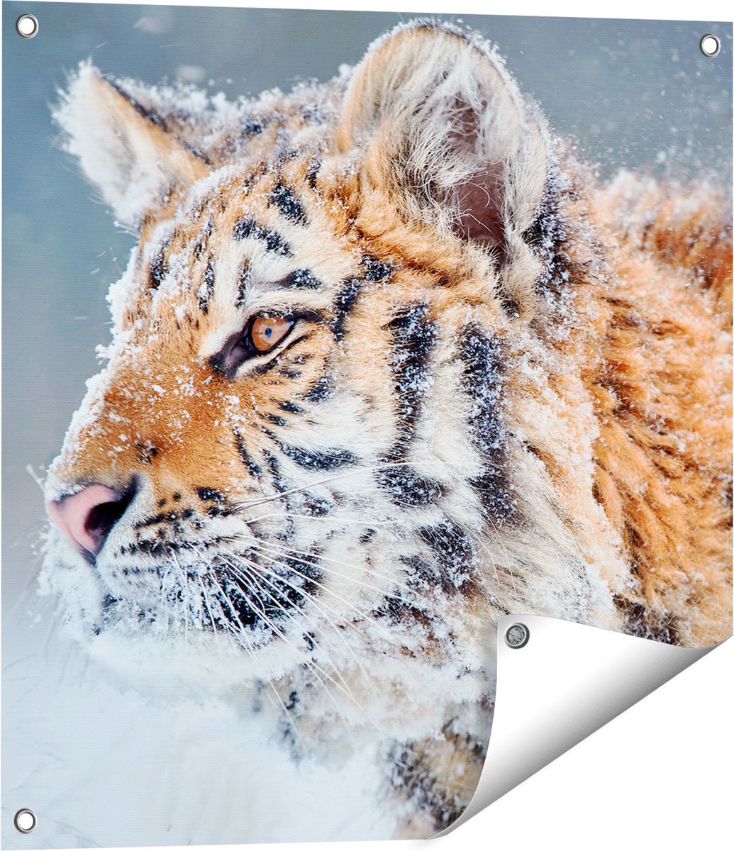 Gards Tuinposter Tijger tijdens de Sneeuw - 60x60 cm - Tuindoek - Tuindecoratie - Wanddecoratie buiten - Tuinschilderij Multikleur