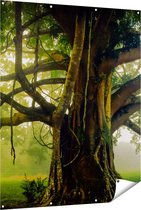 Gards Tuinposter Grote Levensboom met Veel Takken - 120x150 cm - Tuindoek - Tuindecoratie - Wanddecoratie buiten - Tuinschilderij